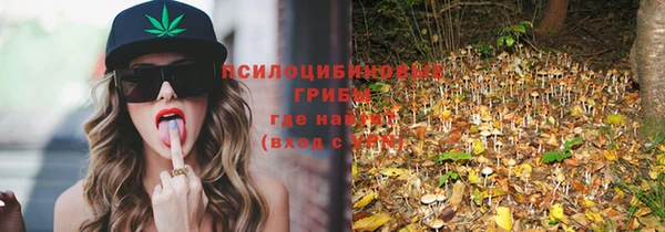 бошки Абдулино