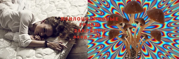 бошки Абдулино